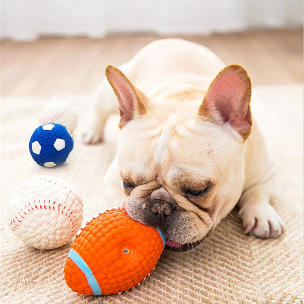 Französische Bulldogge spielt mit orangefarbenem Rugby-Hundespielzeug aus Latex auf Teppich.