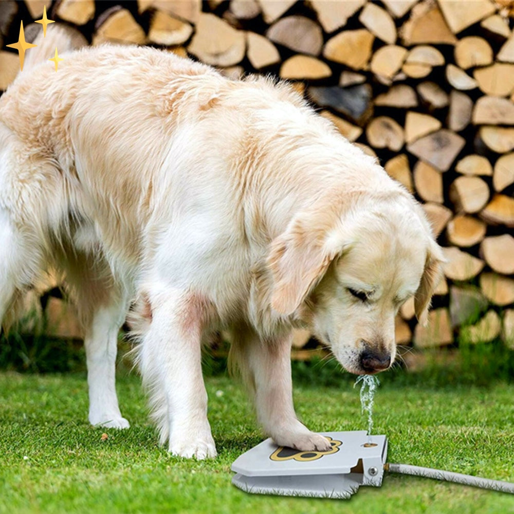 Golden Retriever trinkt Wasser aus Hundetränke im Garten, Holzstapel im Hintergrund.