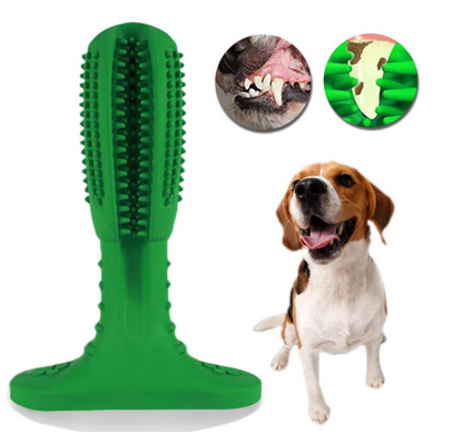 Grüne Hundezahnbürste aus Gummi, Zahnpflege, Hundezubehör, Zahnarzt, Beagle.