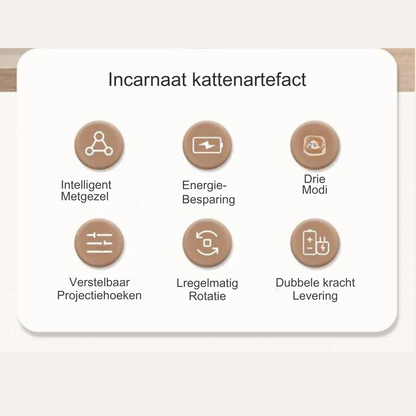 Sechs Symbole auf weißem Hintergrund, Funktionen eines Katzenartefakts, niederländische Beschriftung.