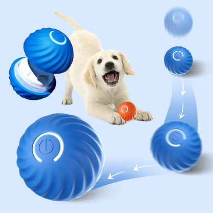 Interaktiver blauer Hundeball, automatisches Spielzeug, Welpe spielend, langlebig, Unterhaltung.