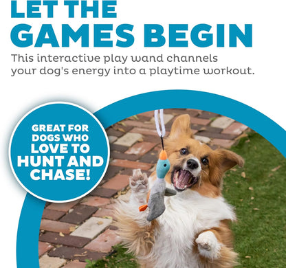 Hund spielt mit interaktivem Spielstab, Plüschspielzeug, Hundetraining, Outdoor-Aktivität.