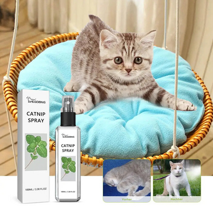 Katzenspray mit Katzenminze, 100ml, beruhigend, für Katzen, graue Katze auf Schaukel, Produktbild.