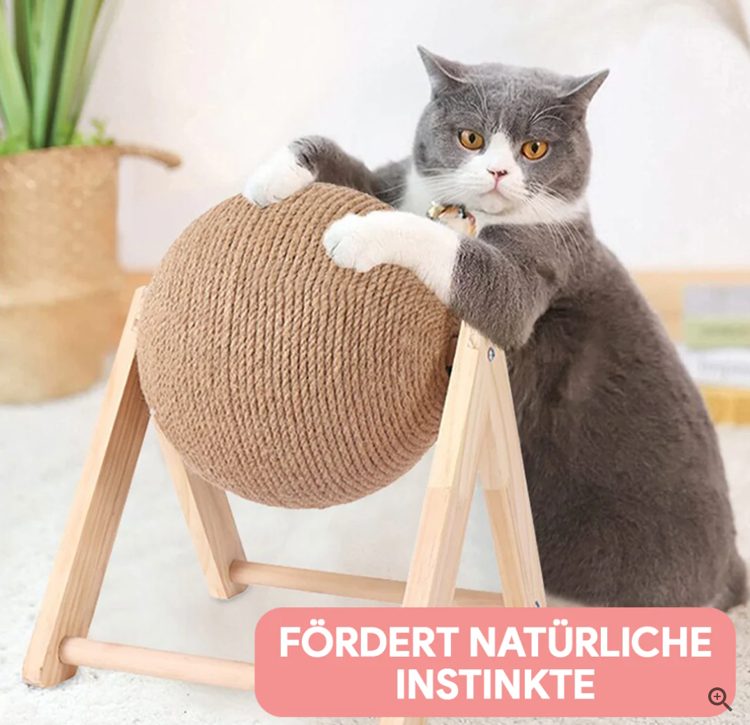 Grauer Kater mit Kratzbaum aus Holz und Sisal, langlebig, Möbel schonend, fördert Instinkte.