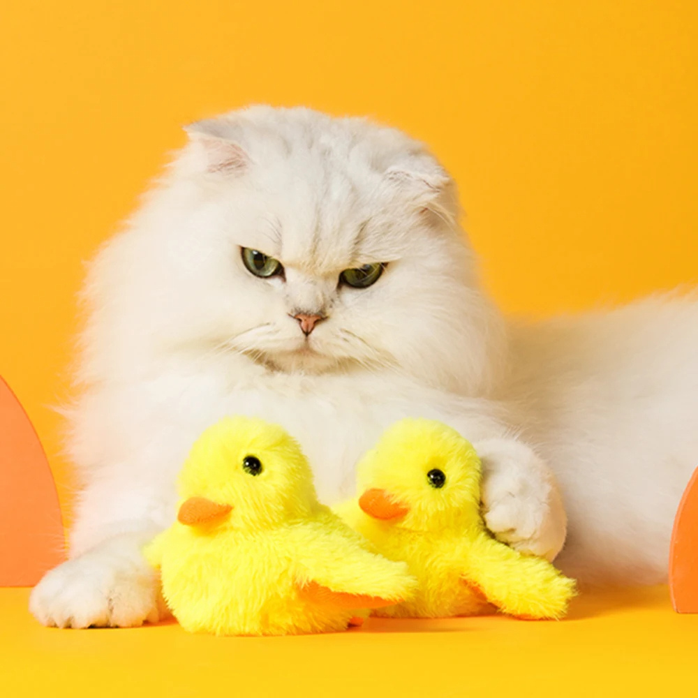 Weiße Katze mit gelben Plüschenten vor gelbem Hintergrund, niedliches Haustierfoto.