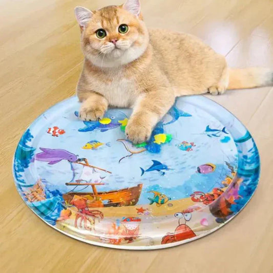 Katze auf buntem interaktivem Wasserspielzeug für Haustiere auf Holzboden.
