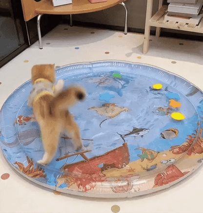 Katze spielt auf aufblasbarer Wassermatte mit Meeresmotiven im Wohnzimmer.