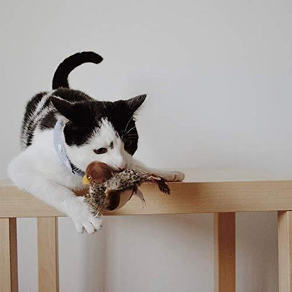 Schwarz-weiße Katze spielt mit Plüschente auf Holztisch, Haustier, Spielzeug, niedlich.