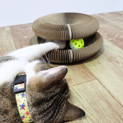 Katze spielt mit interaktivem Katzenspielzeug aus Holz auf Holzboden, gelber Ball im Inneren.