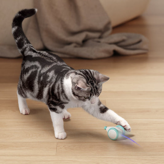 Katze spielt mit interaktivem Spielzeug, grauer Boden, Pixie-Maus, Haustierunterhaltung.