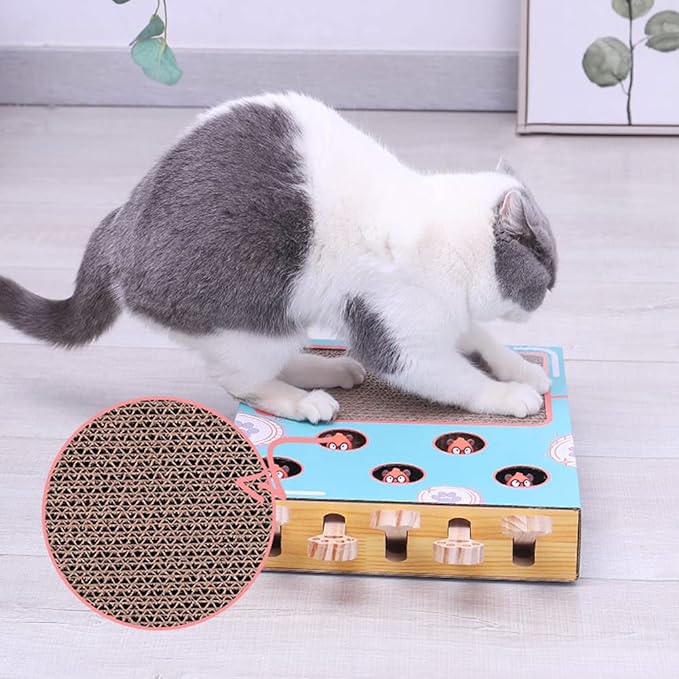 Katze spielt mit interaktivem Spielzeug aus Pappe, blau, mit Löchern und Kratzfläche.