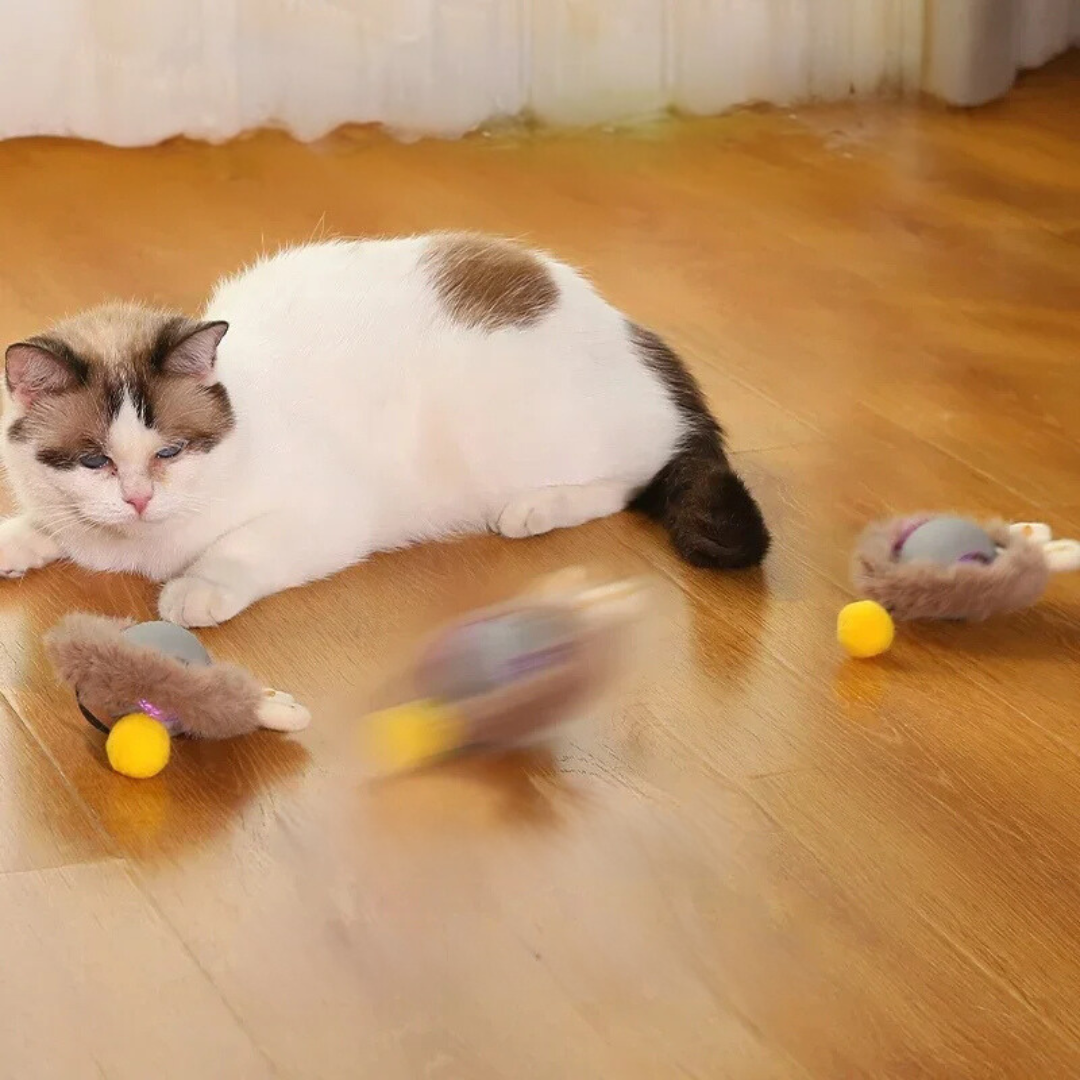 Weiß-braune Katze spielt mit drei grauen, felligen Katzenspielzeugen auf Holzboden.