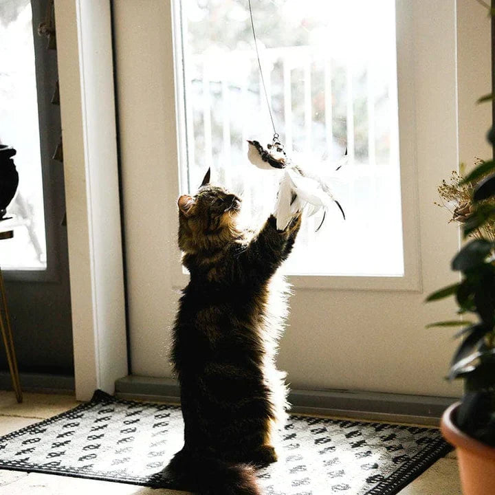 Katze spielt mit Vogelspielzeug am Fenster, braun-schwarz getigert, Innenraum, Tageslicht.