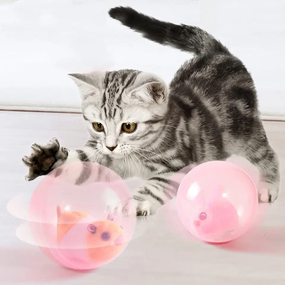 Graue Katze spielt mit rosa interaktivem Ballspielzeug, Holzboden, Haustierunterhaltung.