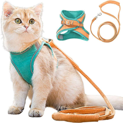 Katzen-Geschirr Set, türkis-orange, verstellbar, mit Leine, für Spaziergänge, Haustierbedarf.