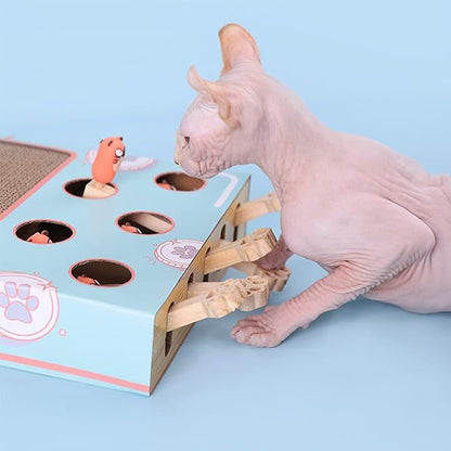 Sphynx-Katze spielt mit interaktivem Spielzeug aus Holz und Pappe, blau, mit Löchern und Figuren.