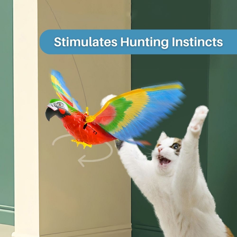 Katze spielt mit buntem Papagei-Spielzeug, stimuliert Jagdinstinkte, interaktives Haustierzubehör.