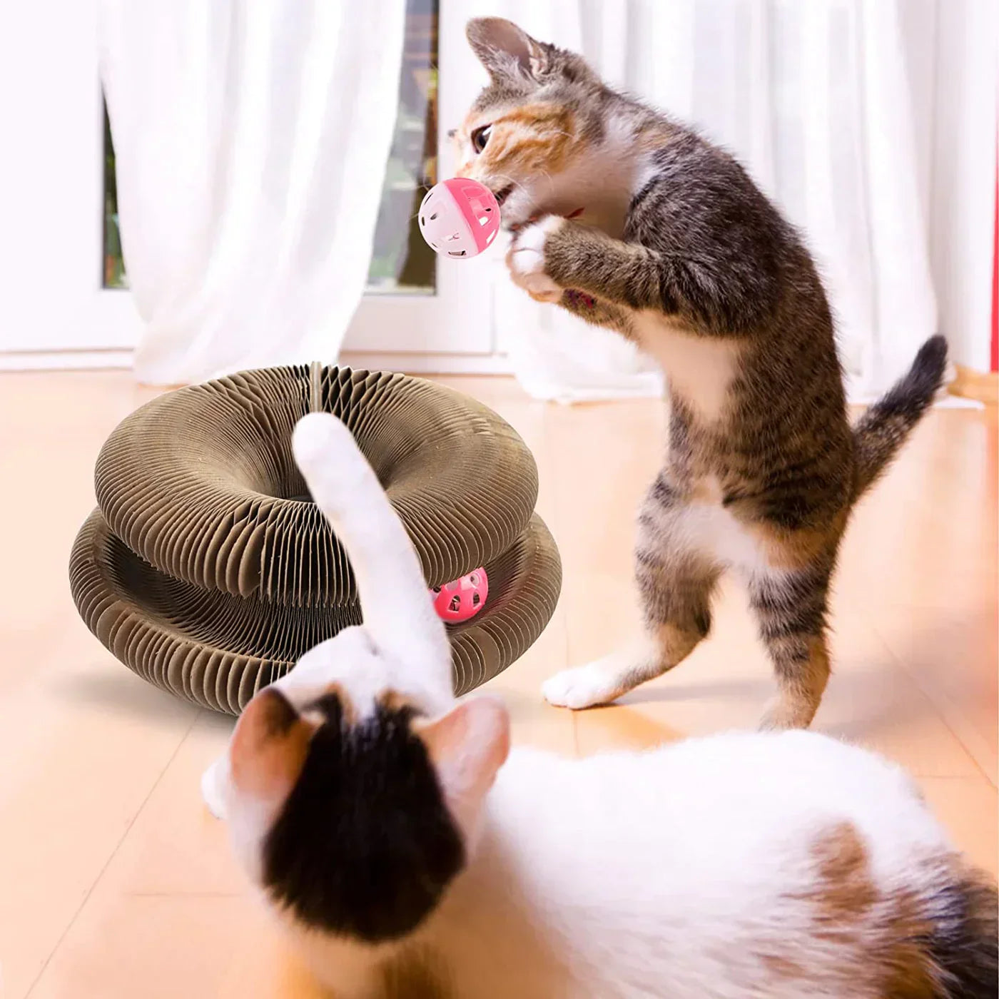 Zwei Katzen spielen mit braunem Wellpappe-Kratzspielzeug und rosa Ball im Wohnzimmer.