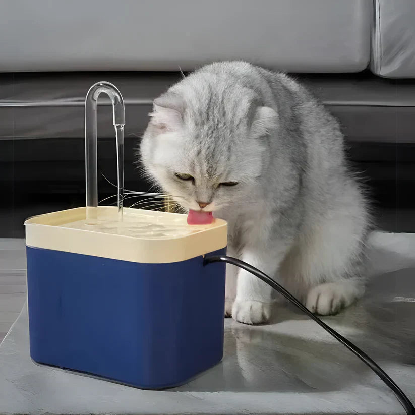 Graue Katze trinkt aus blauem Katzenbrunnen, automatischer Wasserspender, Wohnzimmer.
