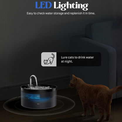 Schwarzer Katzenbrunnen mit LED-Beleuchtung, animiert Katzen zum nächtlichen Trinken.