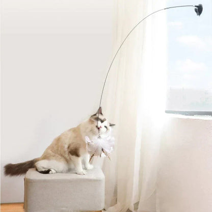 Katze spielt mit interaktivem Katzenspielzeug am Fenster, Federangel, beige, Unterhaltung.