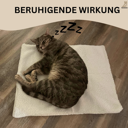 Schlafende Katze auf weißem Plüschkissen, beruhigende Wirkung, Holzboden.