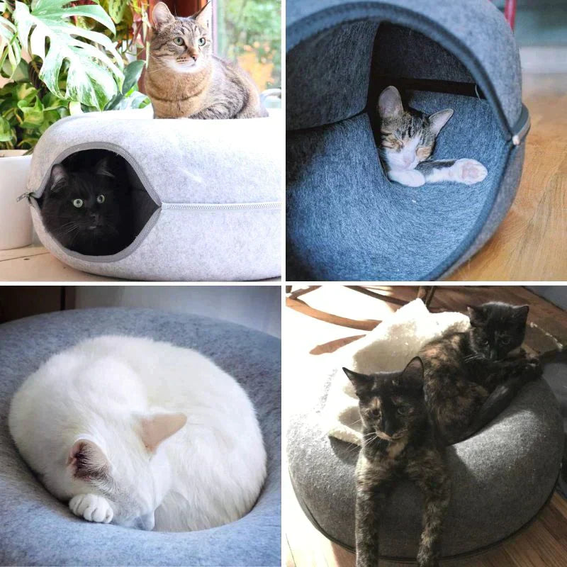 Katzenbett aus Filz, grau, mit Katzen, gemütlich, rund, Schlafplatz für Haustiere, modern.