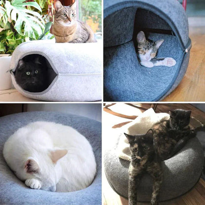 Katzenbett aus Filz, grau, mit Katzen, gemütlich, rund, Schlafplatz für Haustiere, modern.