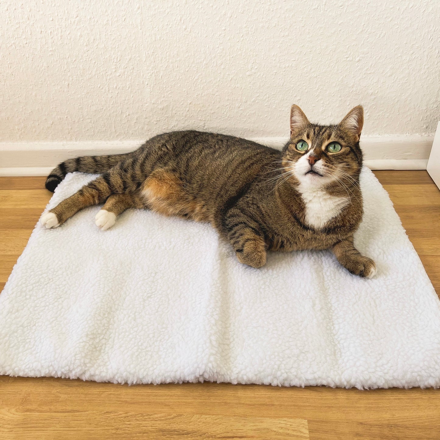Braun getigerte Katze auf weißem, flauschigem Katzenbett auf Holzboden, gemütlich liegend.