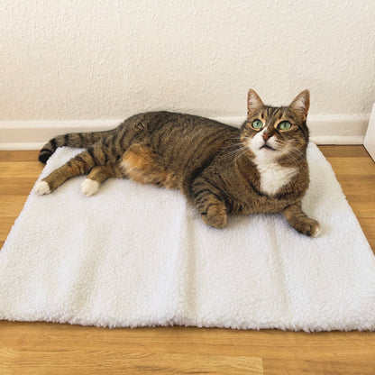 Braun getigerte Katze auf weißem, flauschigem Katzenbett auf Holzboden, gemütlich liegend.
