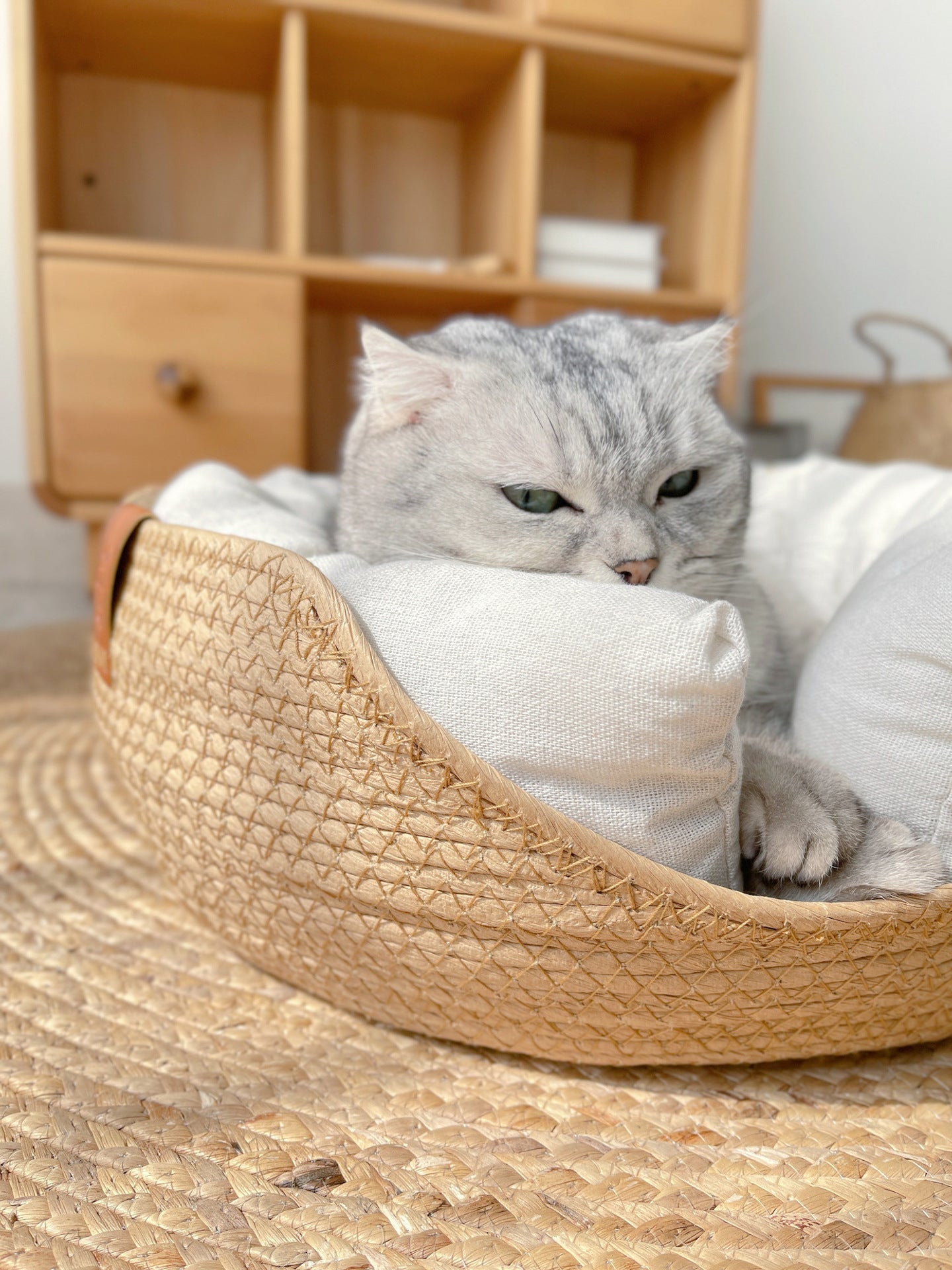 Graue Katze in geflochtenem Katzenbett auf Teppich vor Holzregal, gemütlich liegend.