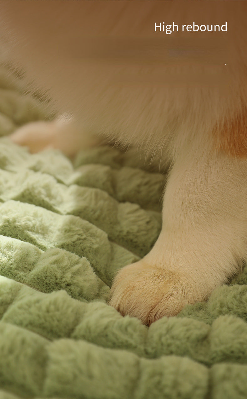 Hundepfote auf grünem, weichem Hundebett mit hoher Rückfederung, Komfort für Haustiere.