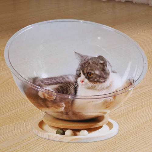 Katze in transparentem Katzenbett aus Acryl auf Holzständer, modernes Haustiermöbel.