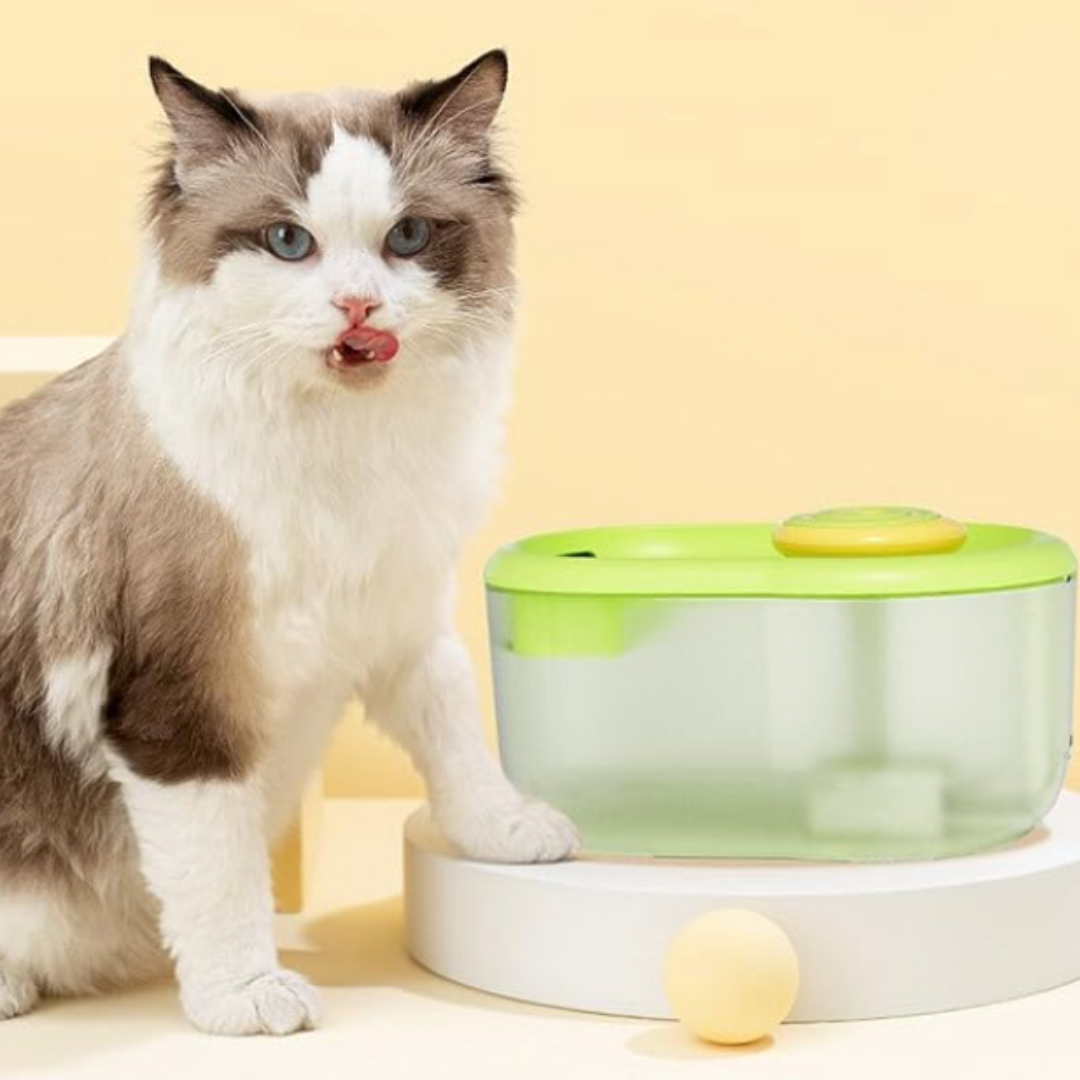 Katze neben grünem, automatischem Katzenbrunnen auf gelbem Hintergrund.