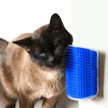 Katze reibt sich an blauer Katzenbürste, Wandmontage, Fellpflege, Haustierzubehör.