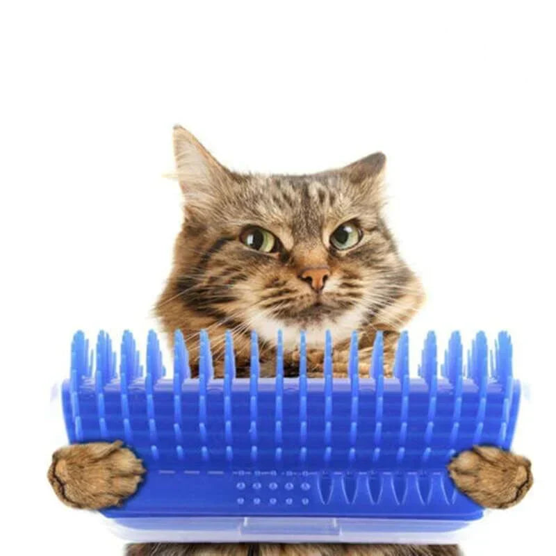Katze mit blauem Katzenbürste, Fellpflege, Haustierpflege, Selbstpflegebürste, Kunststoff.