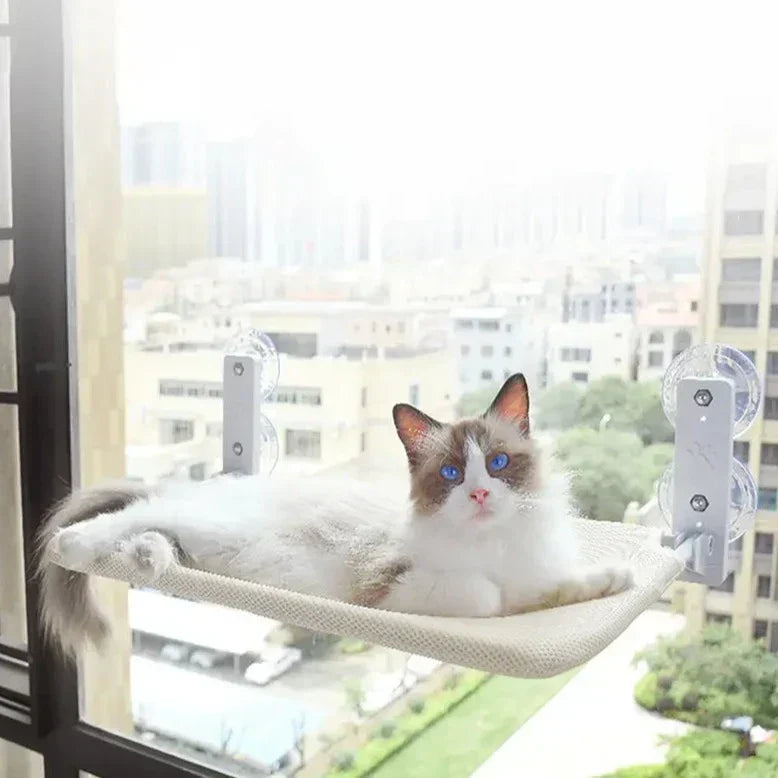 Katze auf Fensterliege, beige, mit Saugnäpfen, Stadtblick, Katzenbett, Haustierzubehör.