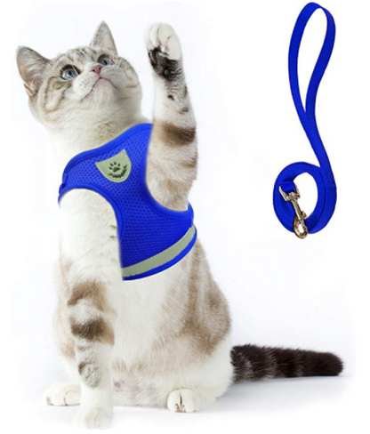 Blaues Katzengeschirr mit Leine, Testsieger, atmungsaktiv, sicher, bequem, für Spaziergänge.