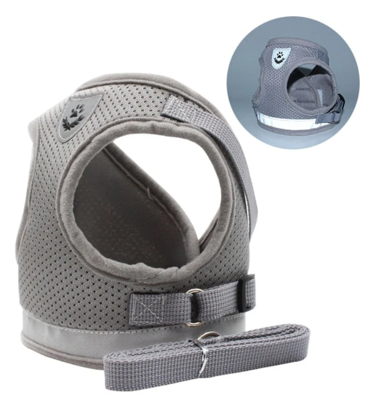 Graues Katzengeschirr mit Leine, atmungsaktiv, verstellbar, für sicheren Outdoor-Einsatz.