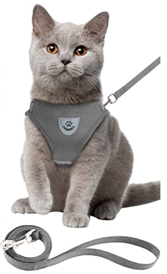 Graues Katzengeschirr mit Leine, atmungsaktiv, verstellbar, für Spaziergänge.