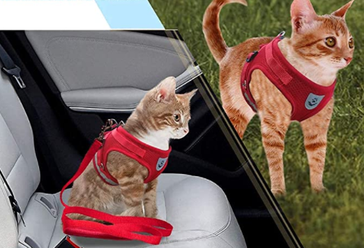 Rotes Katzengeschirr mit Leine, verstellbar, bequem, für Spaziergänge und Autofahrten.