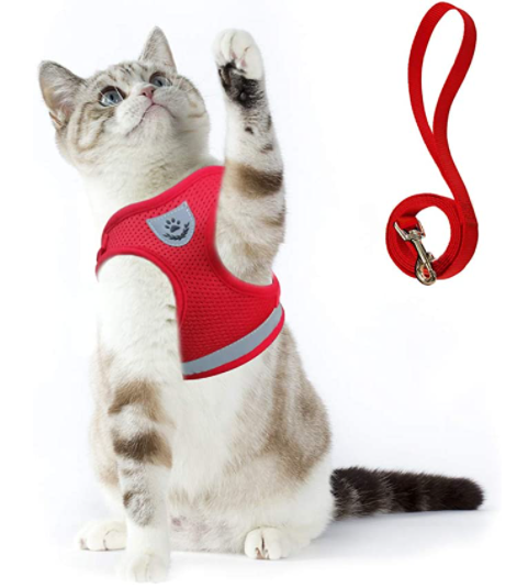 Rotes Katzengeschirr mit Leine, atmungsaktiv, verstellbar, für Spaziergänge und Sicherheit.