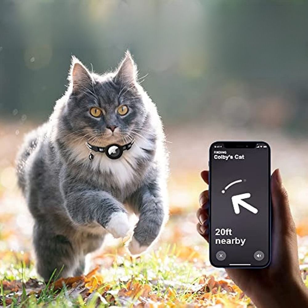 Graue Katze mit GPS-Halsband im Herbstlaub, Smartphone zeigt Standort, Haustier-Tracking.