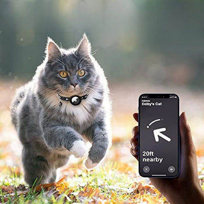 Graue Katze mit GPS-Halsband im Herbstlaub, Smartphone zeigt Standort, Haustier-Tracking.