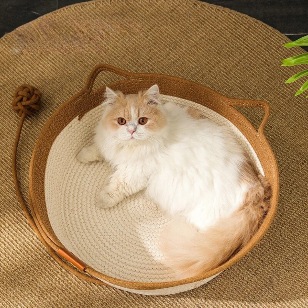 Flauschige Katze in rundem, braunem Katzenbett aus Baumwolle auf Juteteppich.