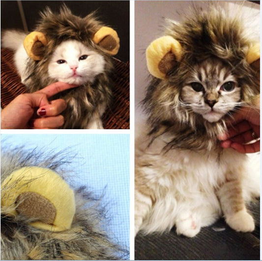 Katzenkostüm Löwenmähne, flauschig, gelb-braun, Haustierverkleidung, süß, lustig, Fotorequisite.