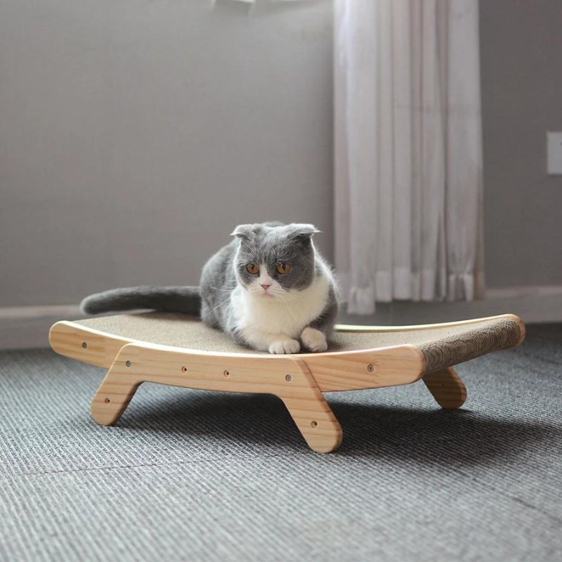 Graue Katze auf Holz-Kratzbrett, modernes Design, Teppichboden, Innenraum.