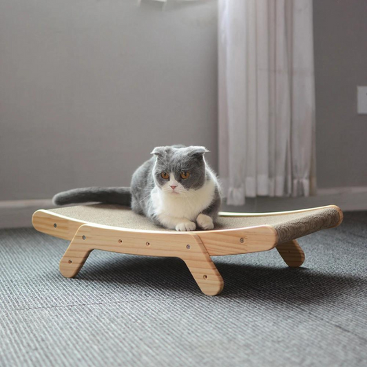 Graue Katze auf Holz-Kratzbrett, modernes Design, Teppichboden, Innenraum.