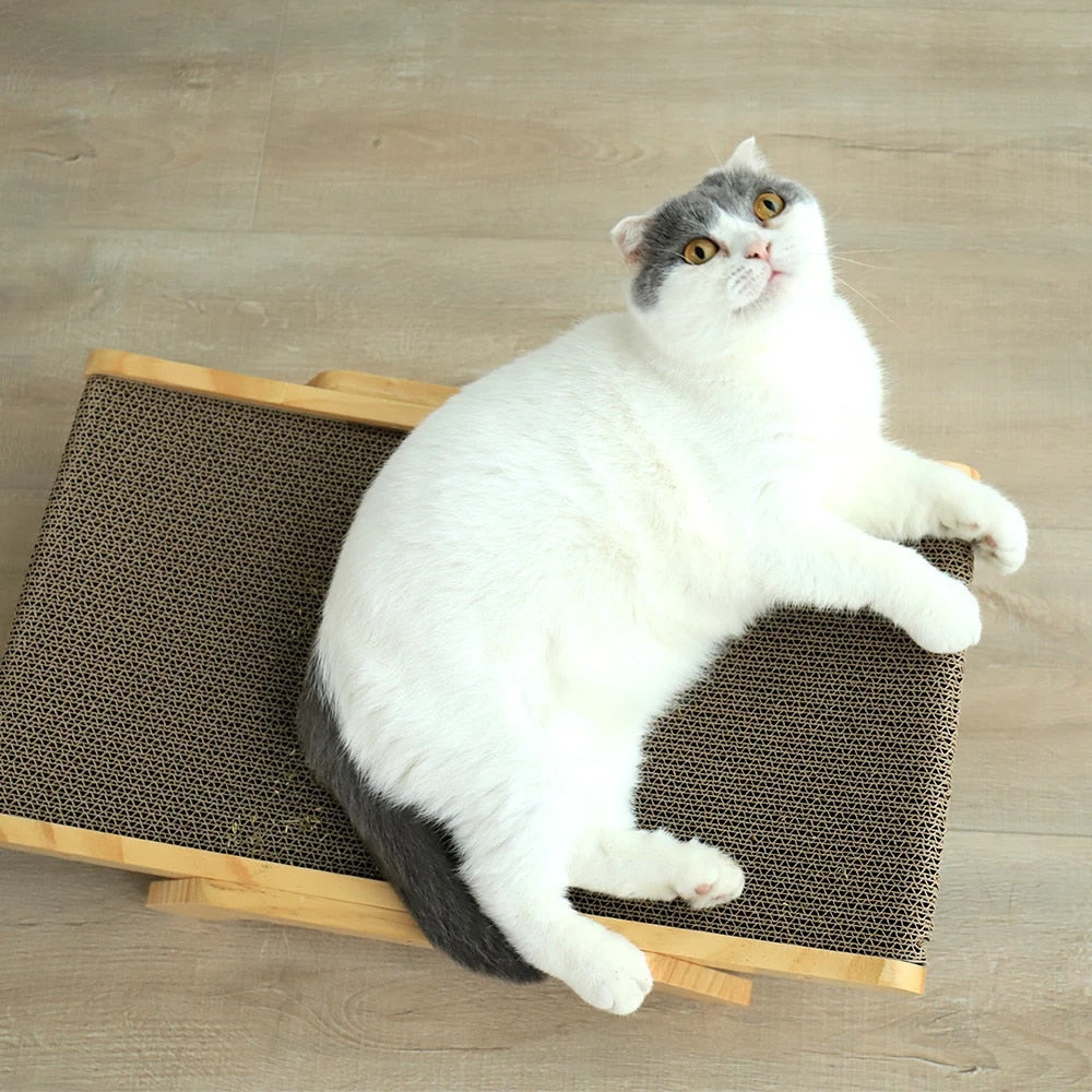 Weiß-graue Katze auf Kratzbrett aus Holz, Katzenmöbel, Kratzbaum, Haustierbedarf.