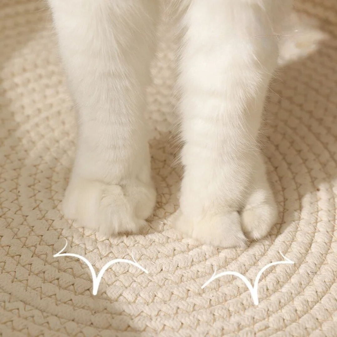 Weiße Katzenpfoten auf beigem Baumwollteppich, weiches Material, gemütliches Wohnaccessoire.